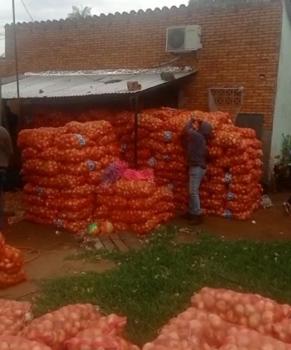 Incautaron más de 600 bolsas de cebolla presuntamente de contrabando